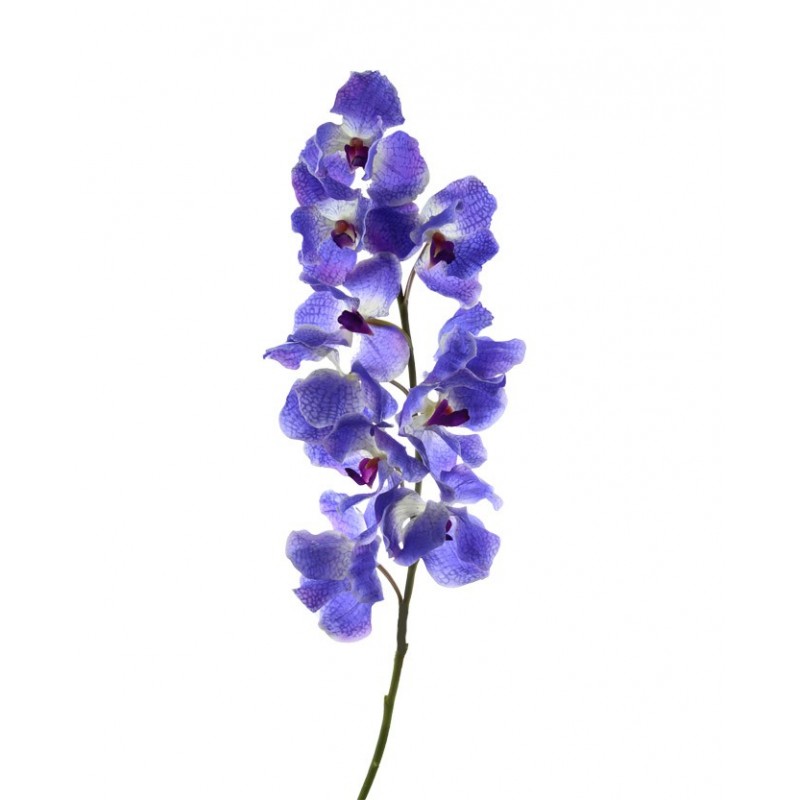 Bagnodoccia Erboristico Lavanda