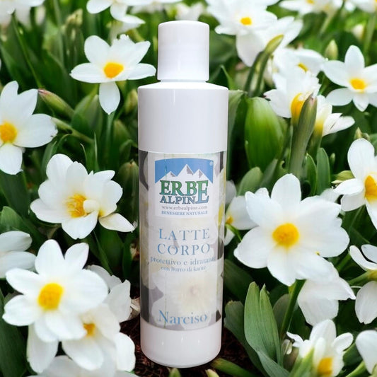 Latte corpo narciso